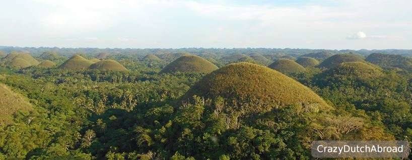 The Chocolate Hills in The Philippines Is Your Next Travel Destination -  Visit The Chocolate Hills